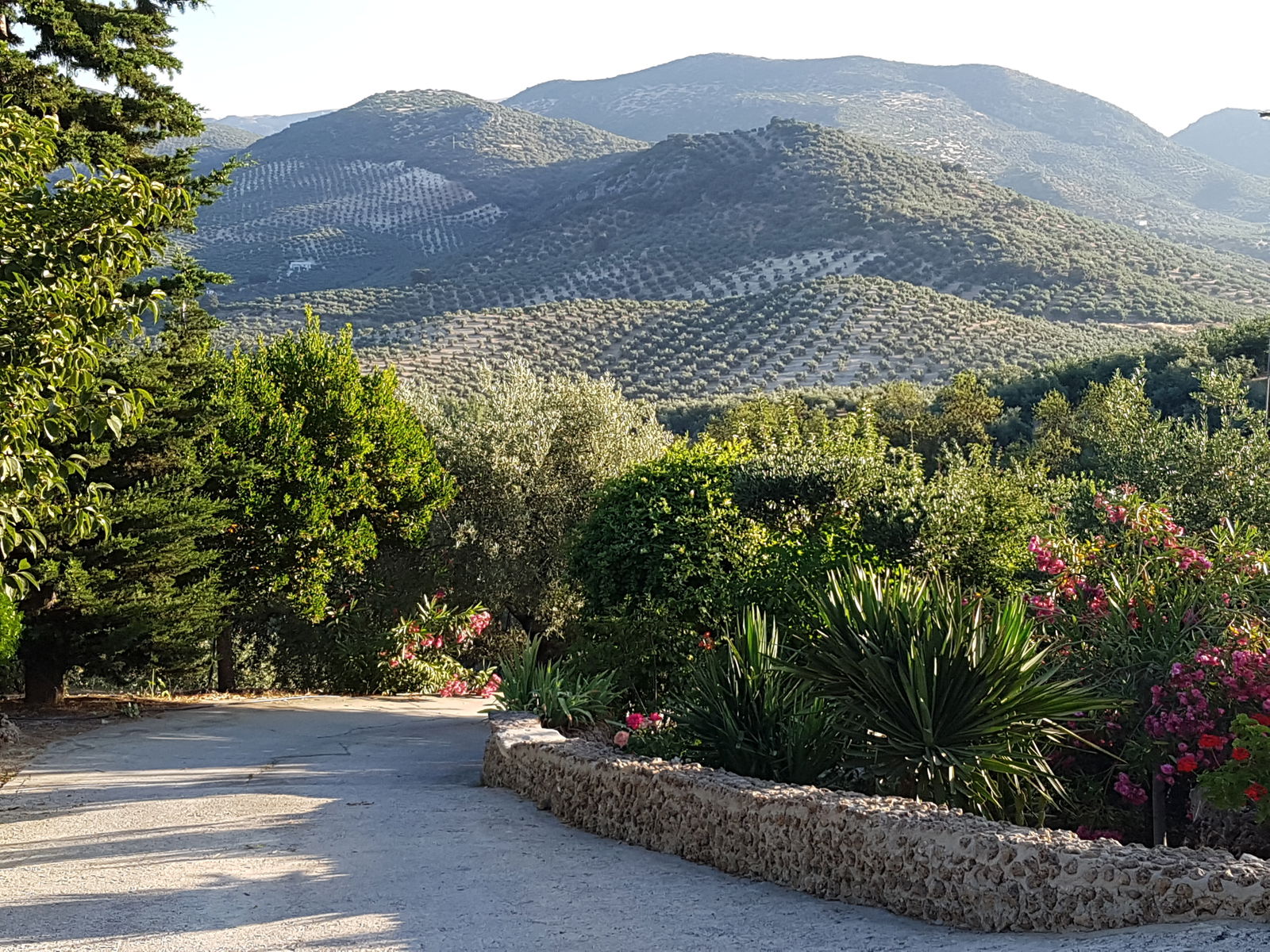 Famiglia Carcabuey 208478