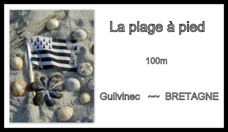 Estudio Independiente Guilvinec 17779