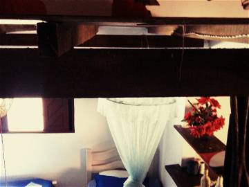 Logement Entier Pipa Beach 145090-10