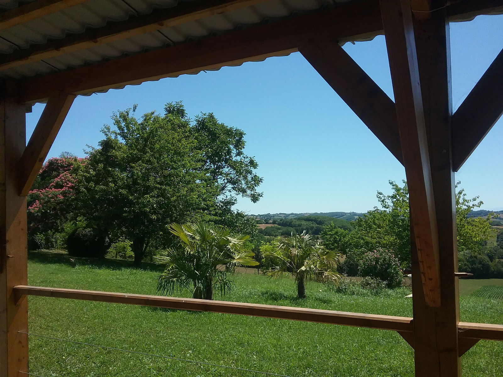 Tutta La Casa Courties 198649