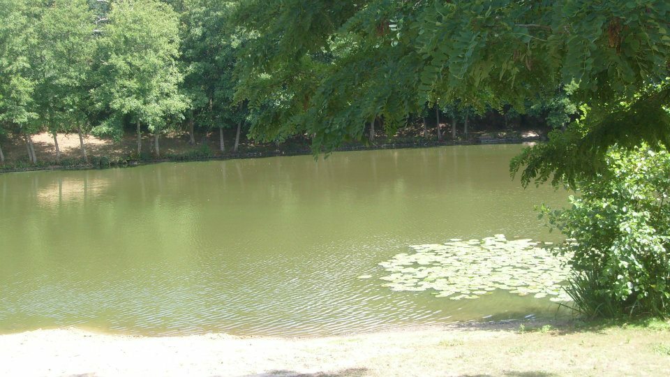 Tutta La Casa Saint-Aubin-Château-Neuf 162586