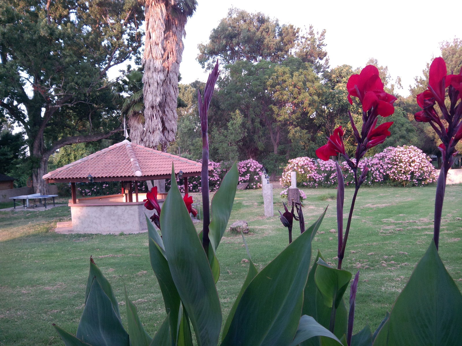 Tutta La Casa Taglio-Isolaccio 97030