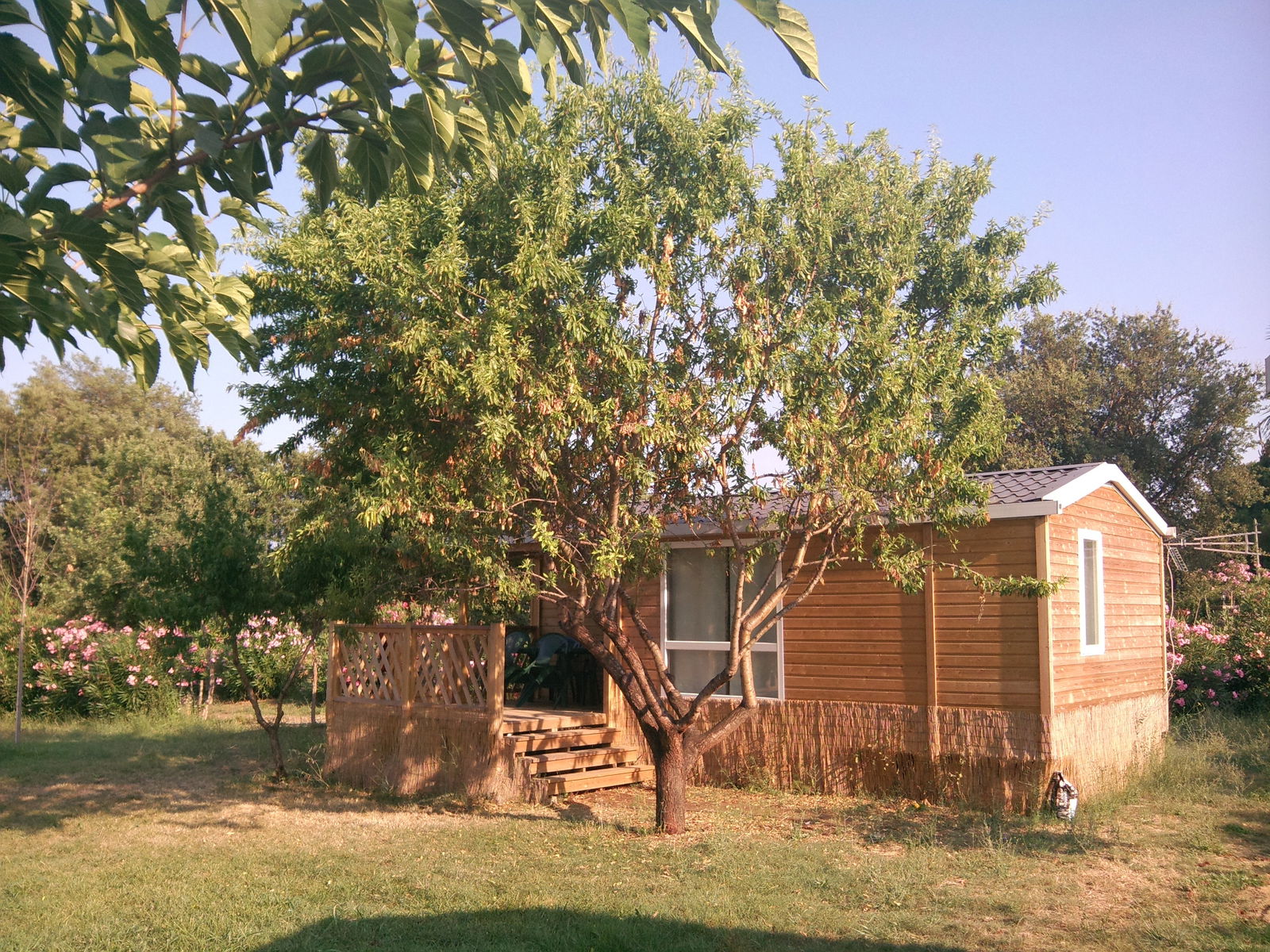 Tutta La Casa Taglio-Isolaccio 97030