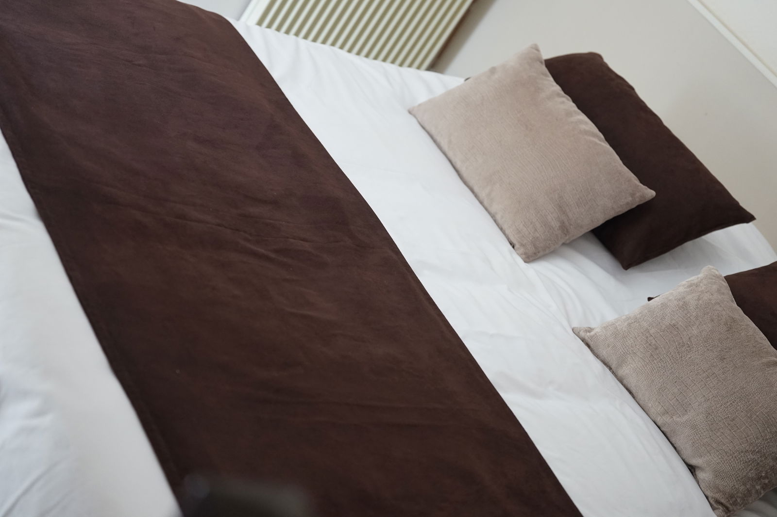 Colocação Moloy 494024