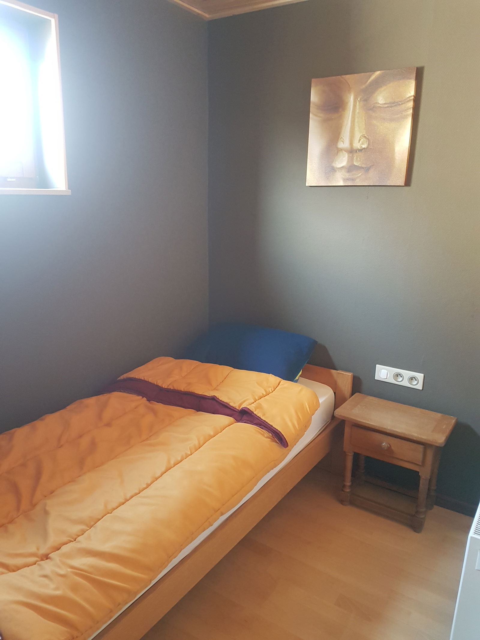 Estudio Independiente Charleroi 217314