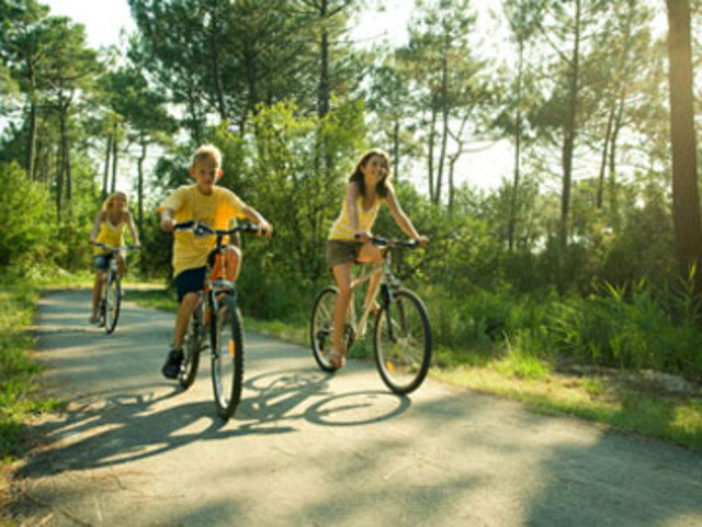 Estúdio Independente Gastes 54925