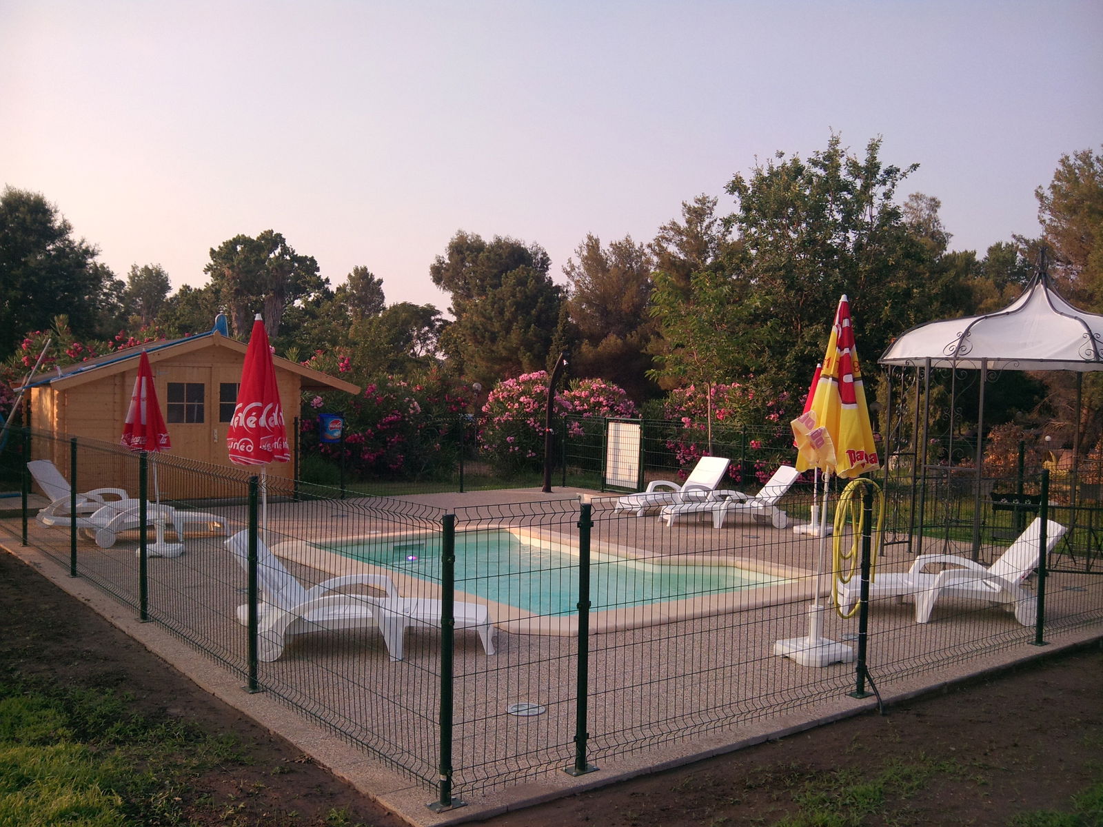 Estudio Independiente Taglio-Isolaccio 97030