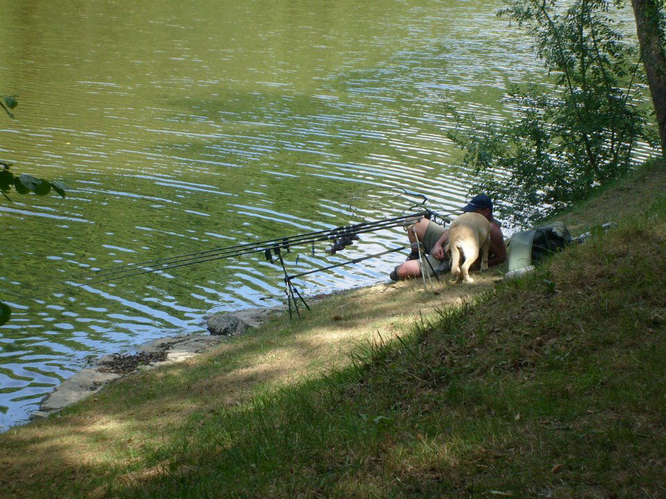 Estudio Independiente Saint-Aubin-Château-Neuf 162586