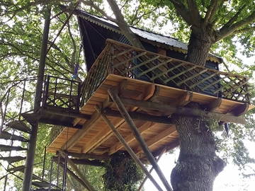 Roomlala | Casa na árvore romântica