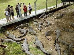 Chambre Chez L'habitant Playa Larga 157726-7