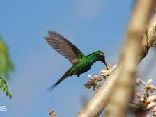 Chambre Chez L'habitant Playa Larga 157726-9