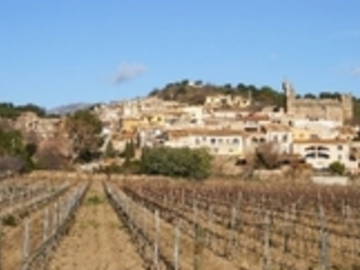 Logement Entier Rabós 29792-8