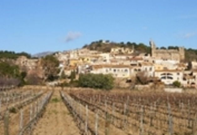 Tutta La Casa Rabós 29792