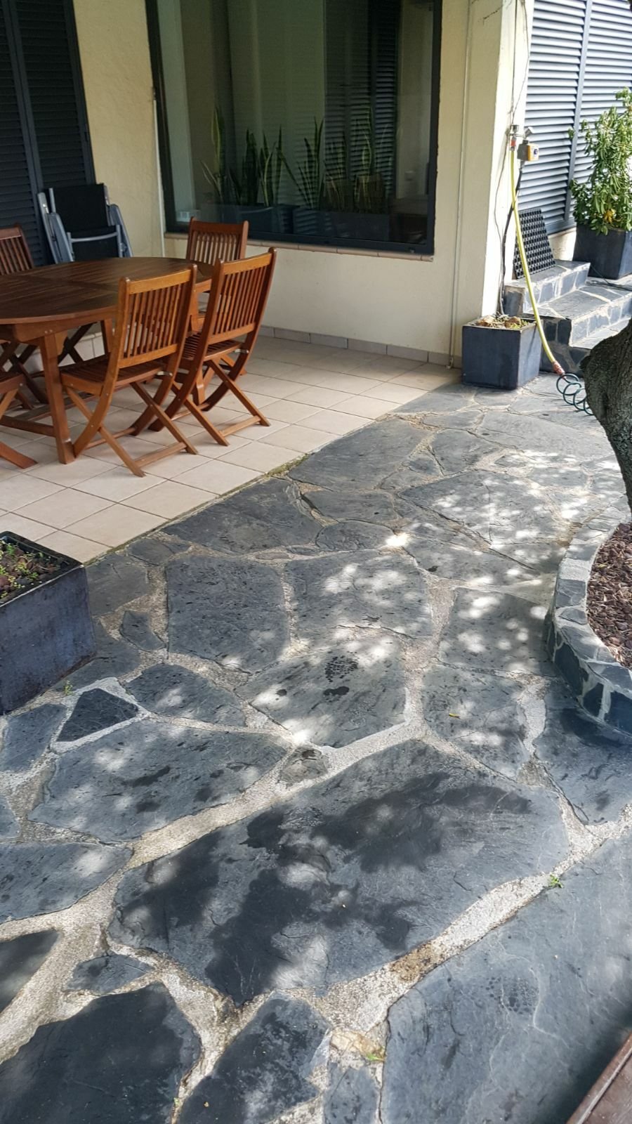 Gastgezin Roses 167560