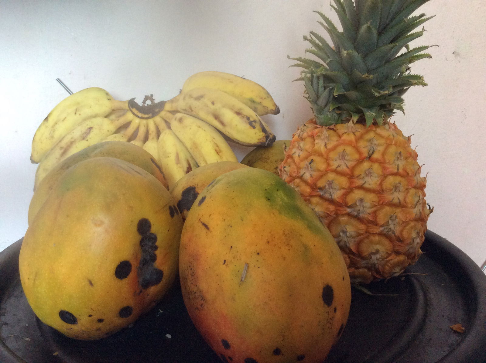 Famiglia La Habana 141438