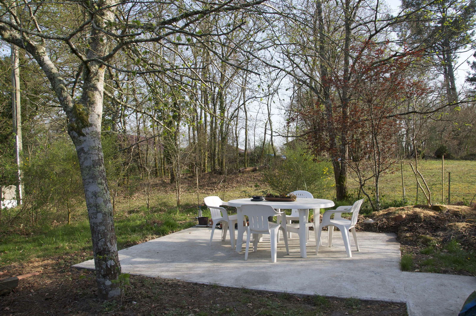 Tutta La Casa Boos 46540