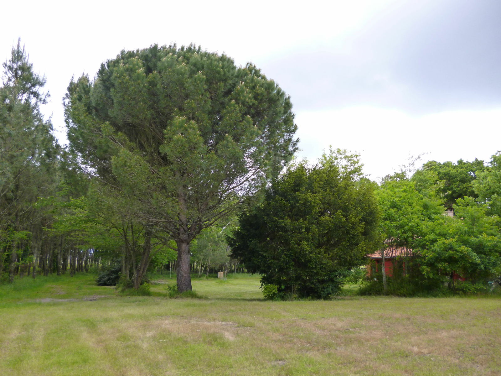 Tutta La Casa Boos 46540