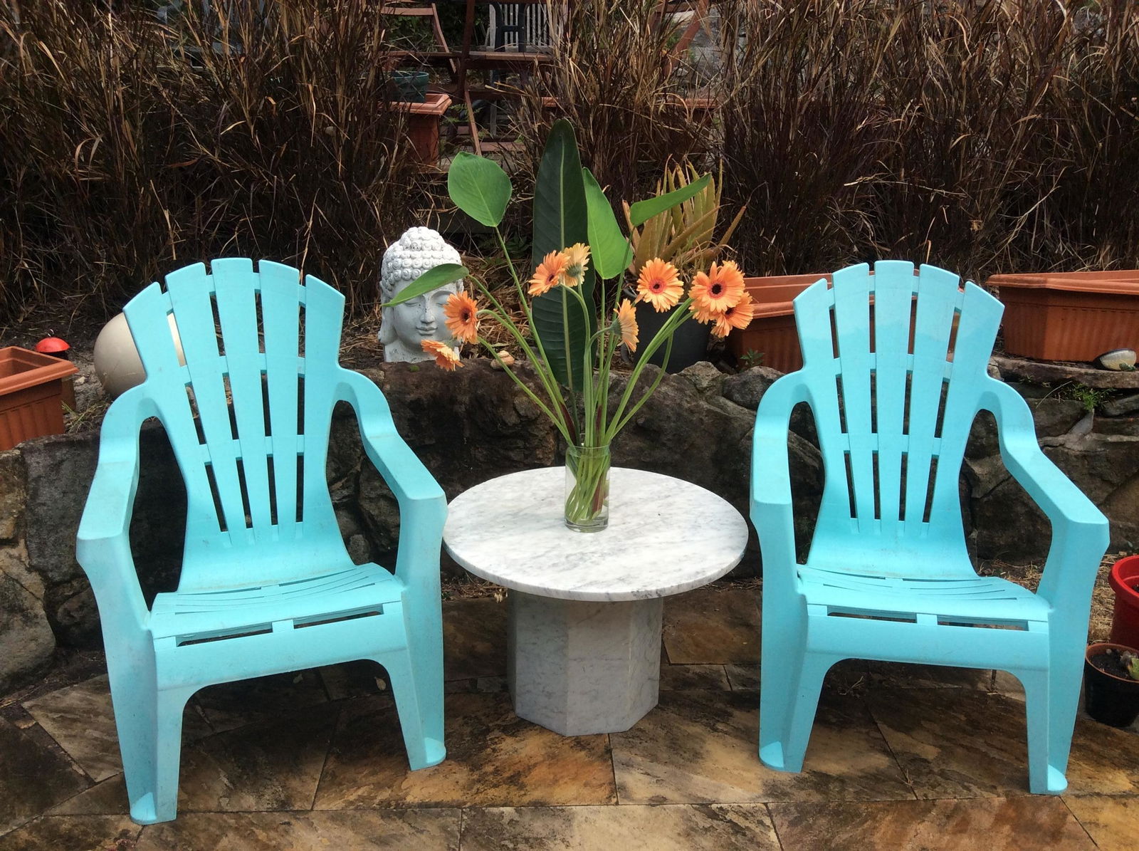 Famiglia Middle Cove 232430