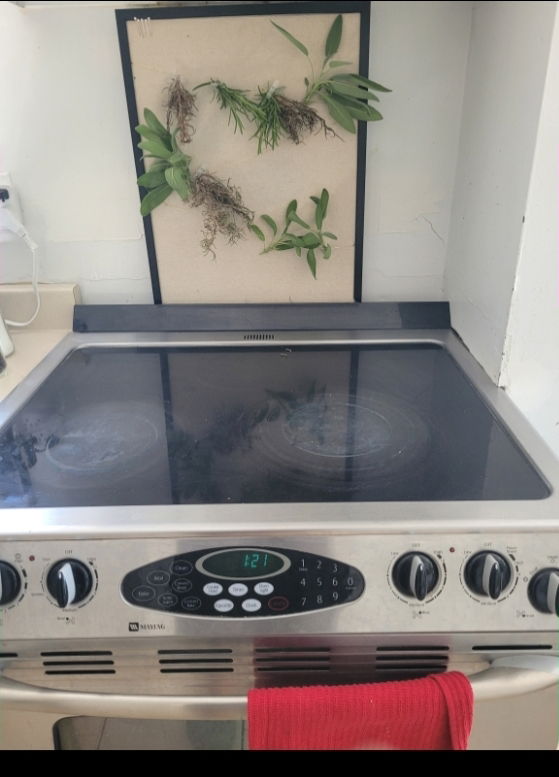 Gastfamilie Montréal 410671