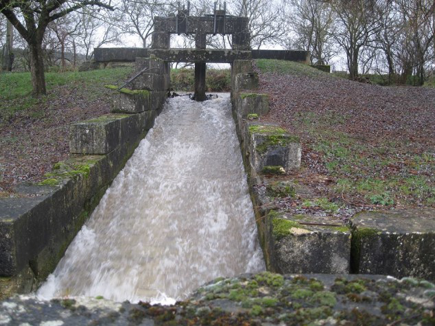 Estudio Independiente Maizey 158083