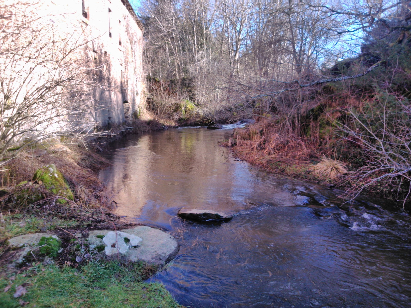 Estudio Independiente Vézins-de-Lévézou 145110
