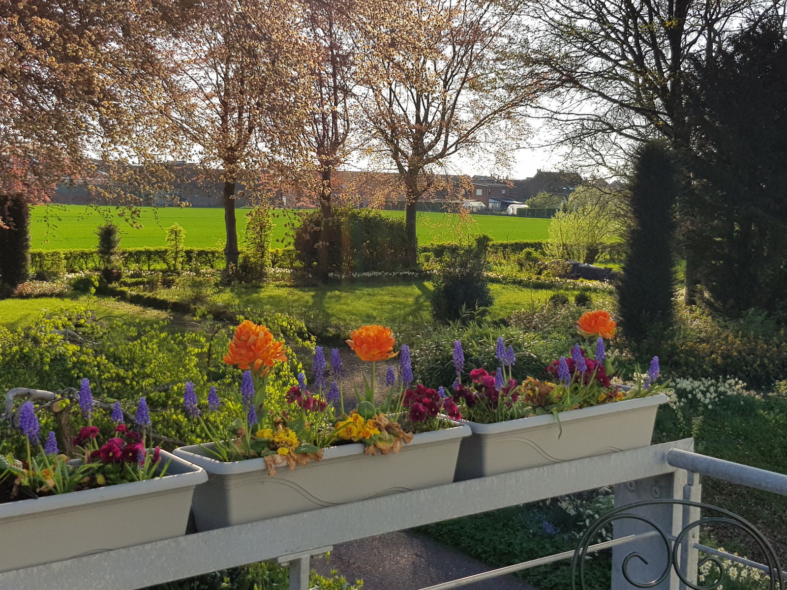 Estudio Independiente Tournai 215377