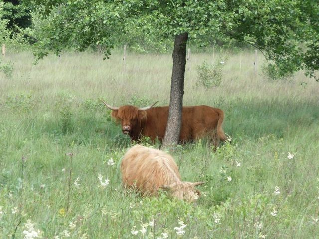 Estudio Independiente Sewen 57694