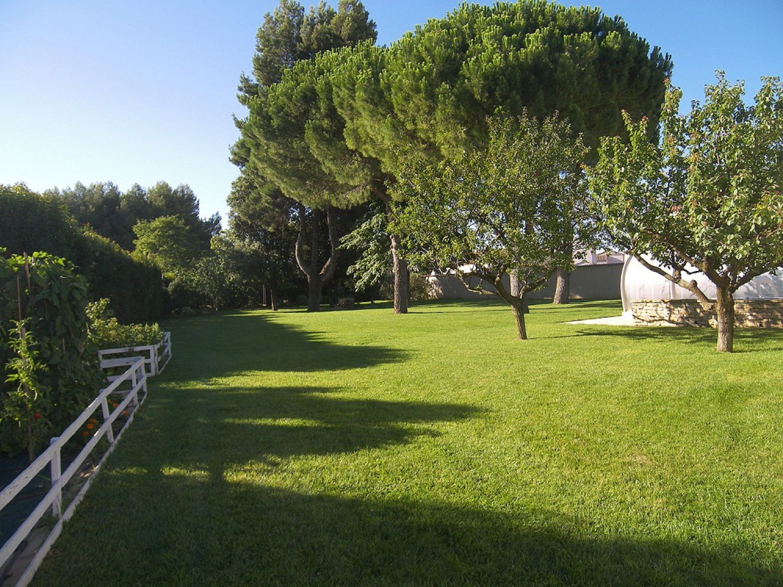 Estudio Independiente Saint-Just 128455