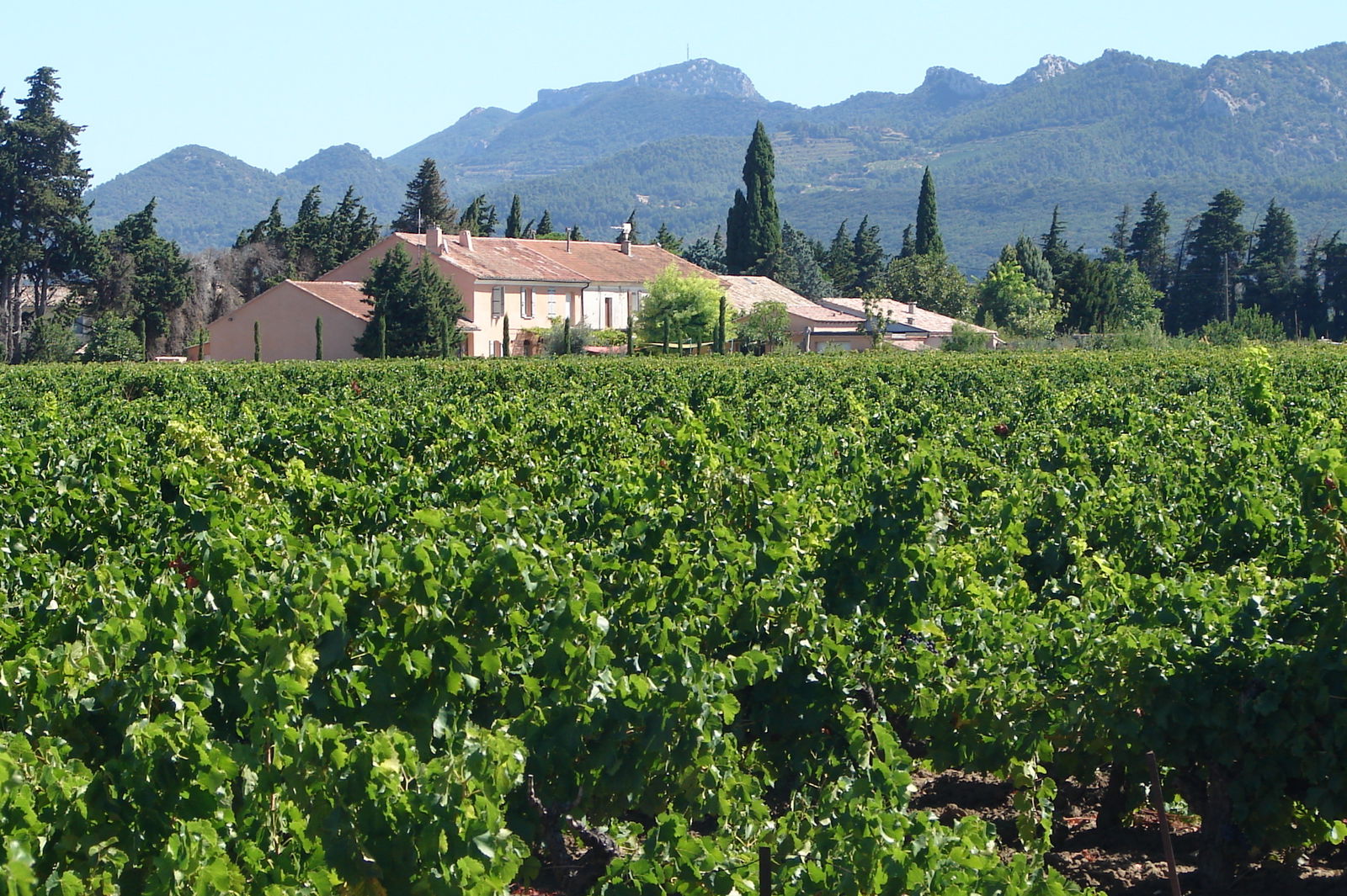 Estudio Independiente Jonquières 96745