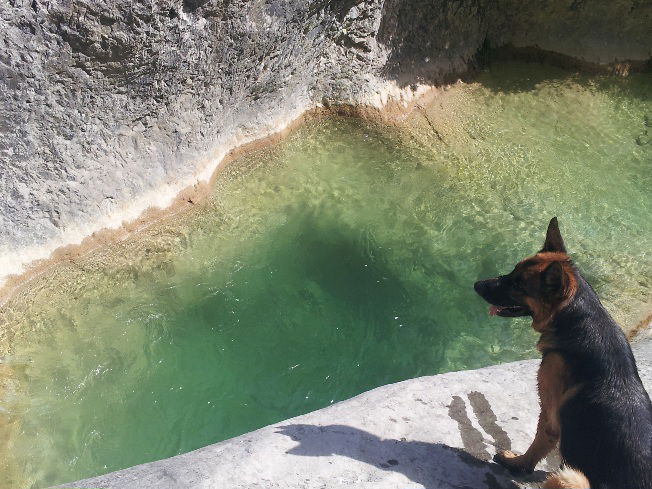 Estudio Independiente Berre-les-Alpes 454674