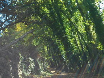 Logement Entier Sevilla 112394-11