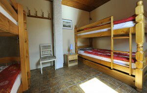 Colocación Saint-Alyre-és-Montagne 139508