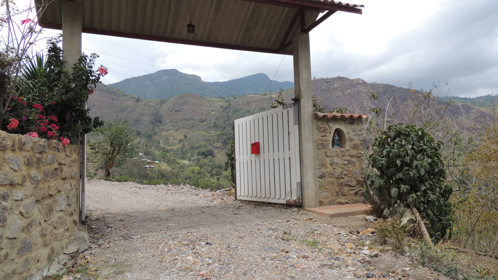 Famiglia Choachí 230673