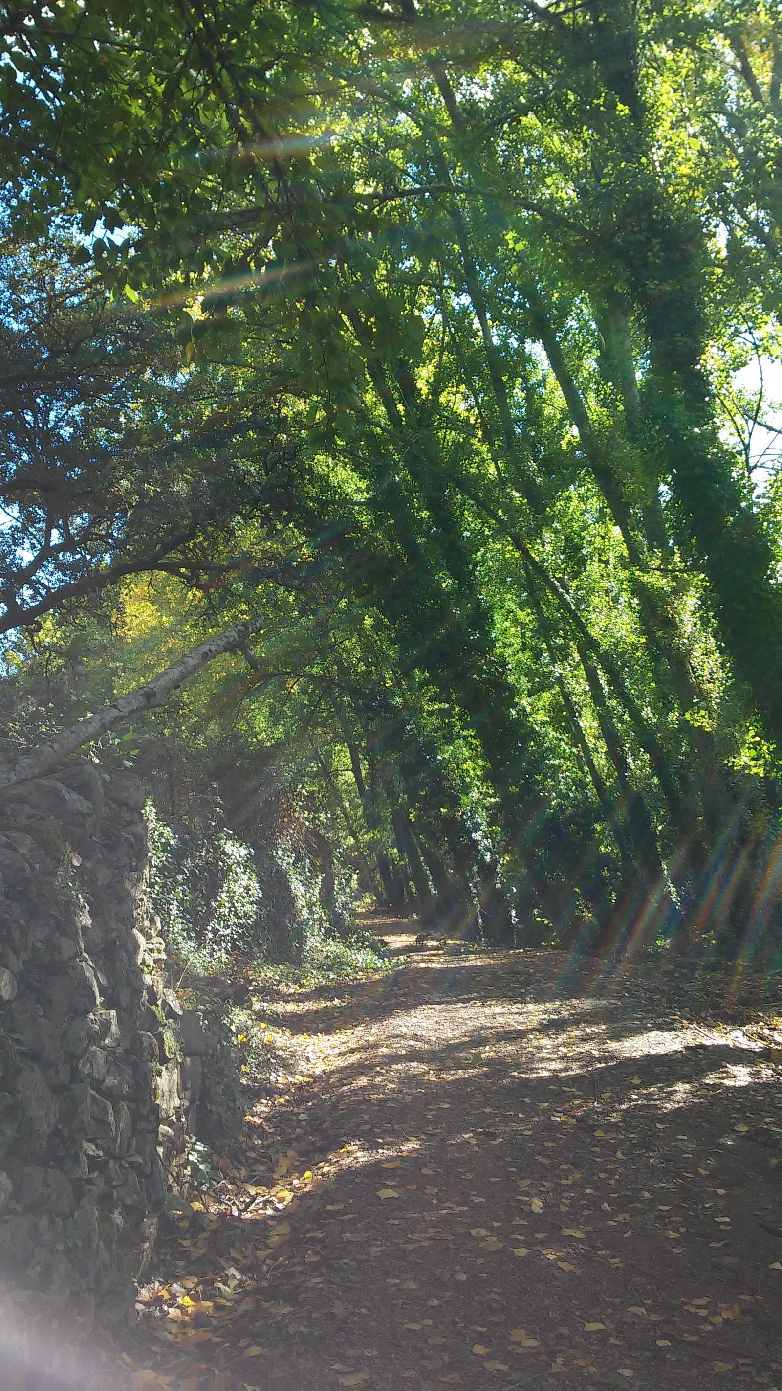 Tutta La Casa Sevilla 112394