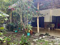 Coliving in affitto a Bacalar - foto 9 : Altro spazio-9