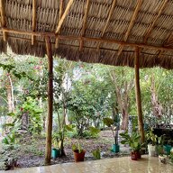 Coliving Bacalar 674536