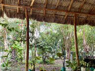 Coliving in affitto a Bacalar - foto 35 : Altro spazio-35