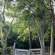 Coliving Bacalar 674536