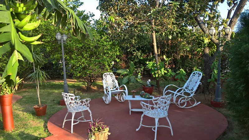 Homestay La Habana 161633