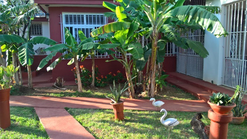 Gastfamilie La Habana 161633