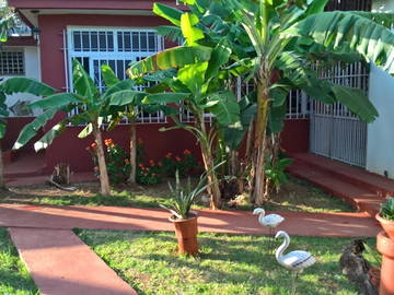 Quedarse En Casa La Habana 161602-12