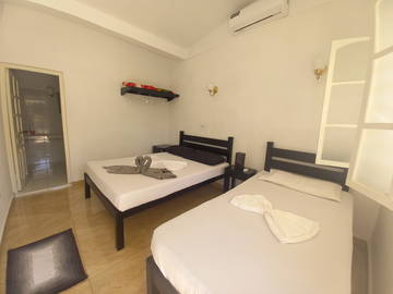 Colocation Viñales 313153-5