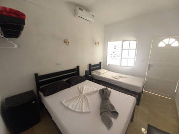 Colocation Viñales 313166-4