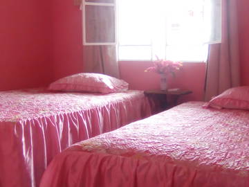 Chambre Chez L'habitant Viñales 211072-4