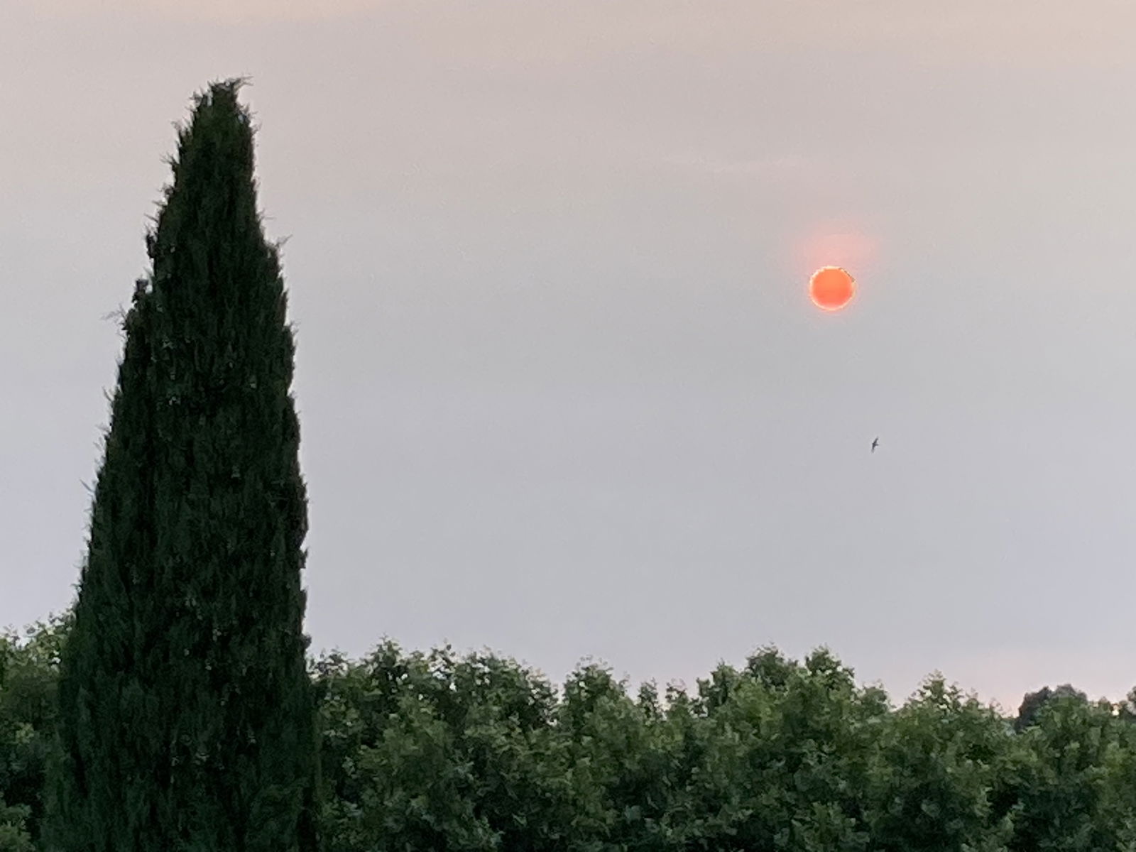 Quedarse En Casa Pontevès 267698