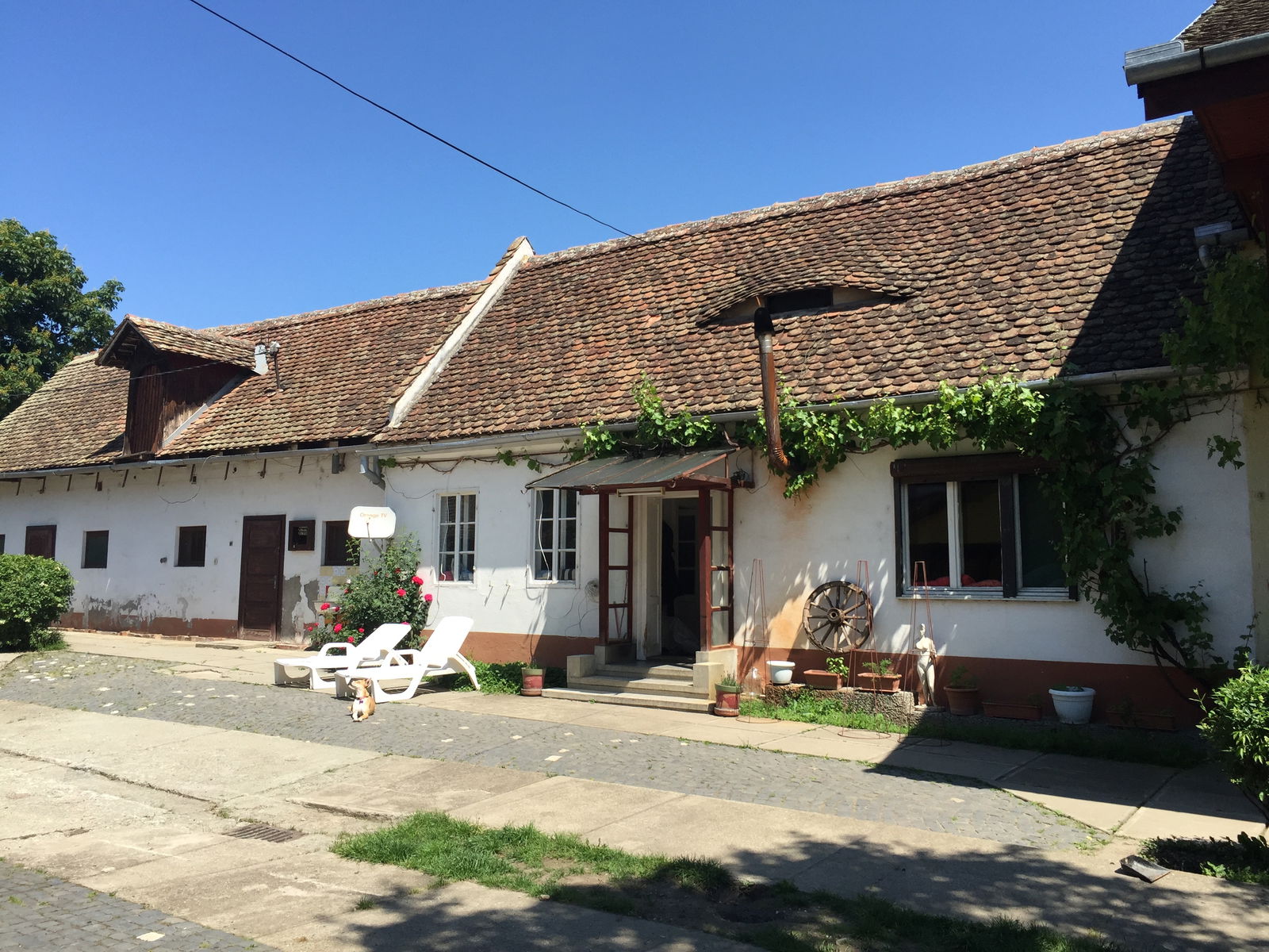 Homestay Sibiu 173849