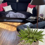 Estudio Independiente Rennes 43949