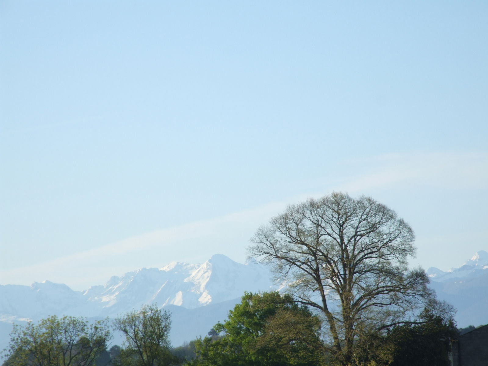 Camere Per Gli Ospiti Sauvelade 107695