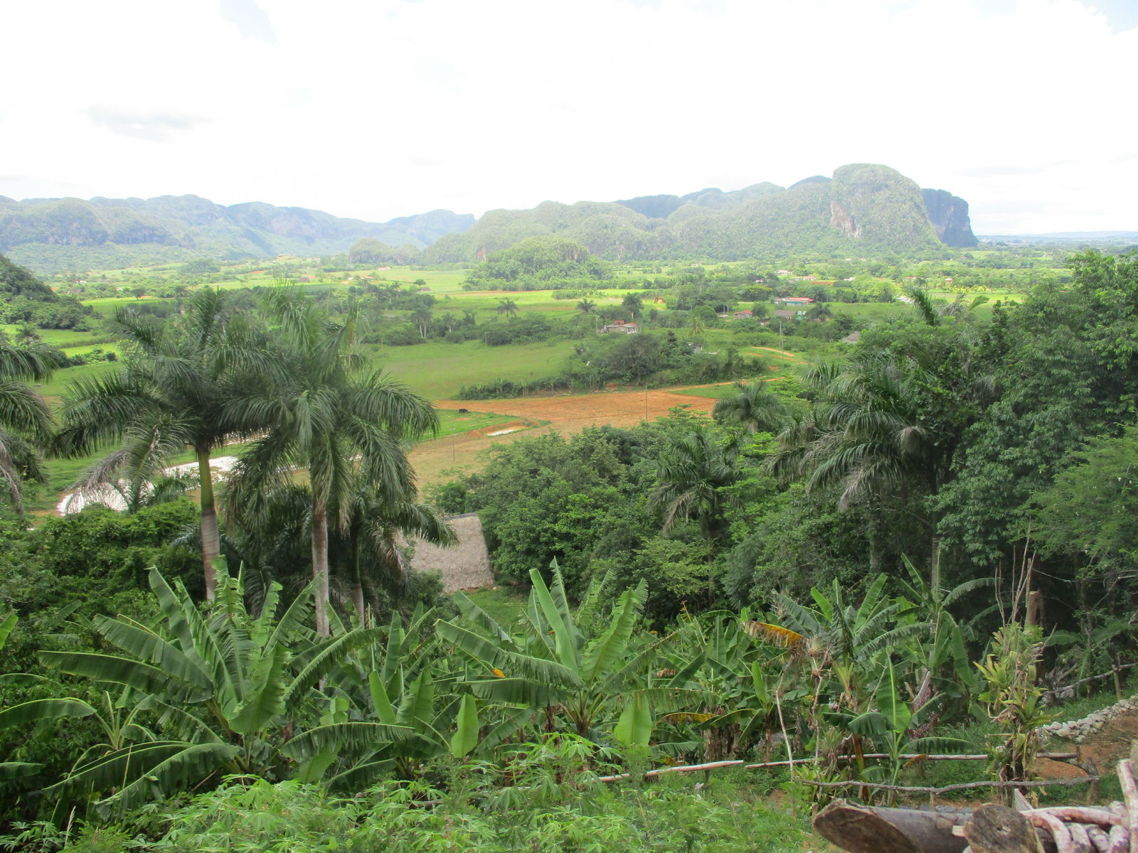Quedarse En Casa Viñales 219127