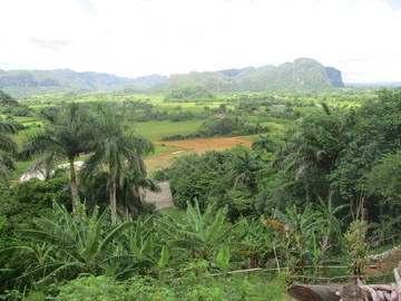 Chambre Chez L'habitant Viñales 219127-6